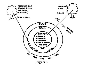 fig1b.jpg