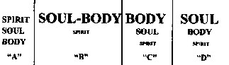 fig.jpg